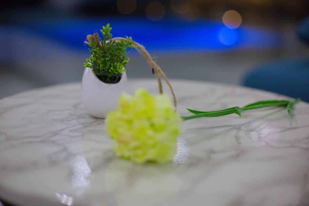 Villa Enjoy Lux In 斯普利特 外观 照片